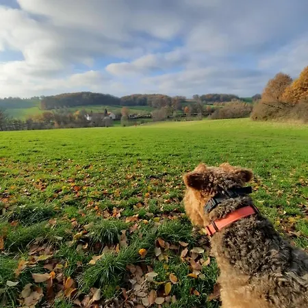 Apartment Anno 1877 Met Tuin