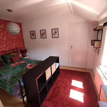 Apartment Anno 1877 Met Tuin