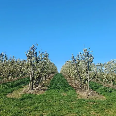 Apartment Anno 1877 Met Tuin