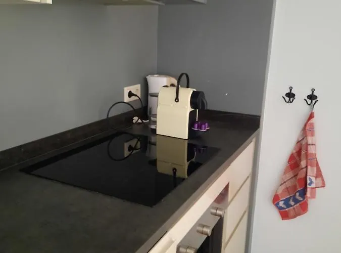 公寓 Anno 1877 Met Tuin *