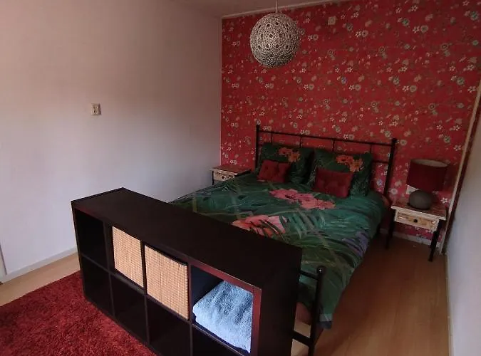 Anno 1877 Met Tuin 公寓 斯莱纳肯