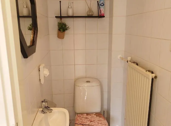 Anno 1877 Met Tuin 公寓 斯莱纳肯