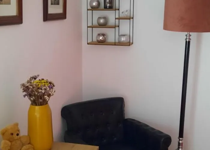 Anno 1877 Met Tuin 斯莱纳肯