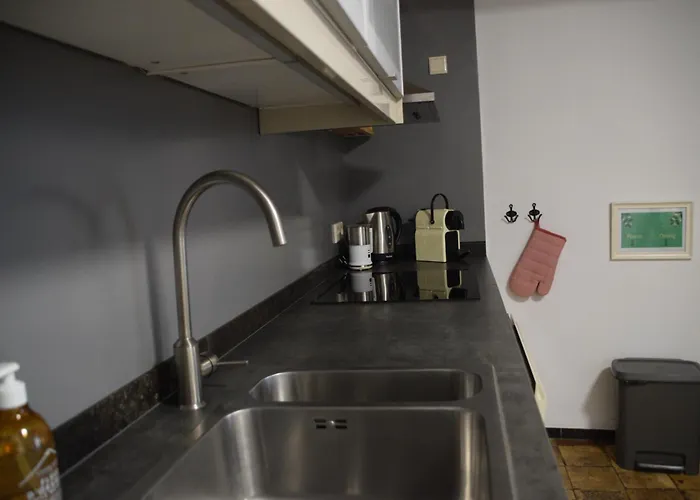 Anno 1877 Met Tuin *