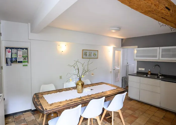 Anno 1877 Met Tuin * 斯莱纳肯