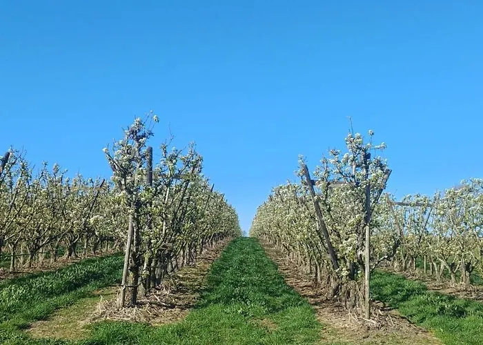 公寓 Anno 1877 Met Tuin